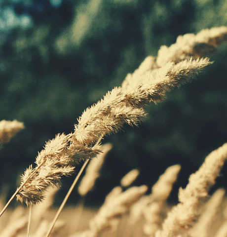 网站攻击工具手机版